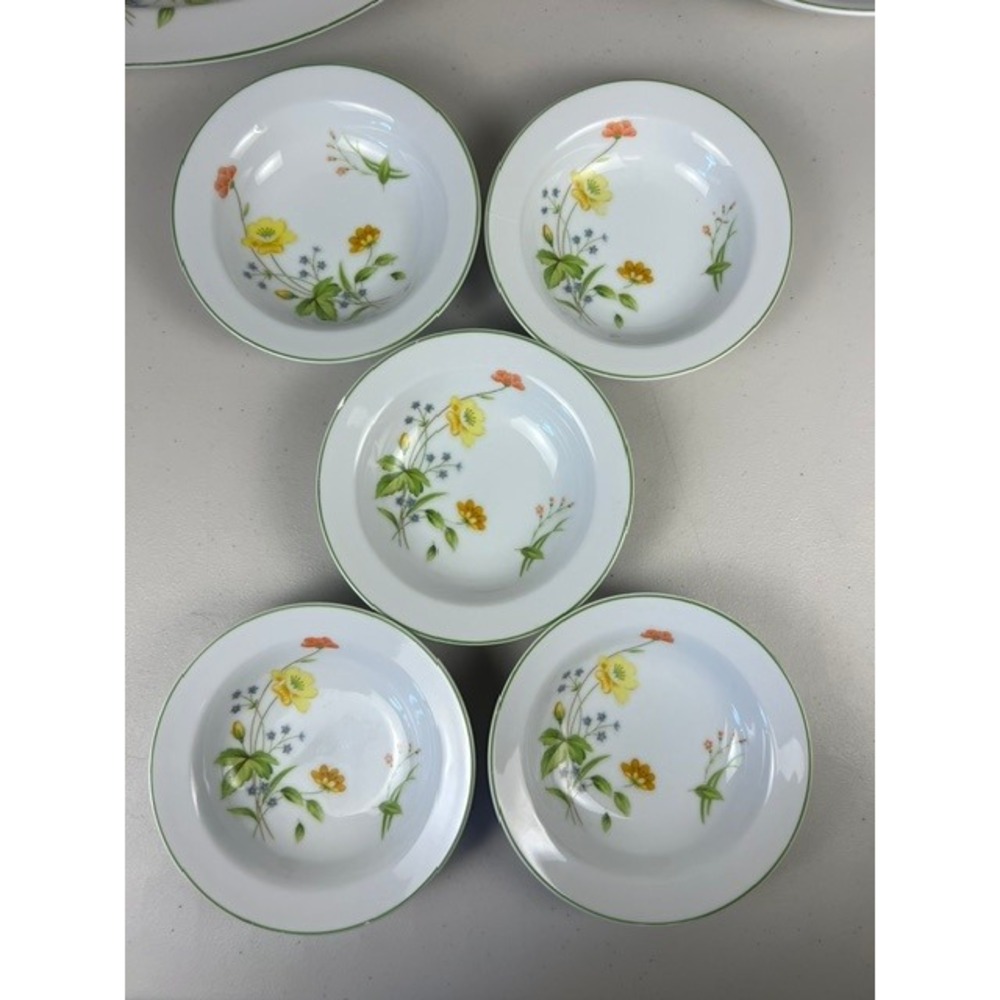 Castlecourt April Flowers Fine China Fruit‎ Dessert Bowls Set of 5 Japan 5.5"